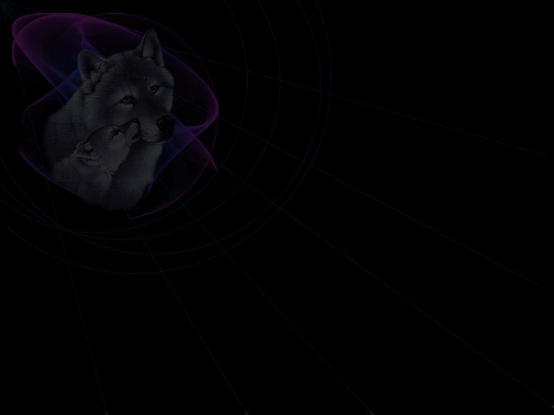 wolven_background_blurred.jpg